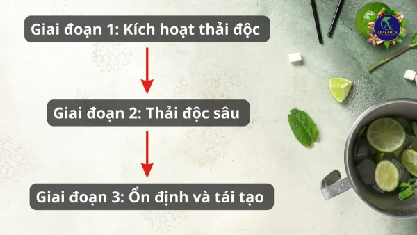 Quá trình thải độc và tái tạo tế bào